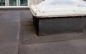 disadvantages of Rhosygadair Newydd flat roofs