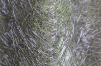 Rhosygadair Newydd fibreglass roof work